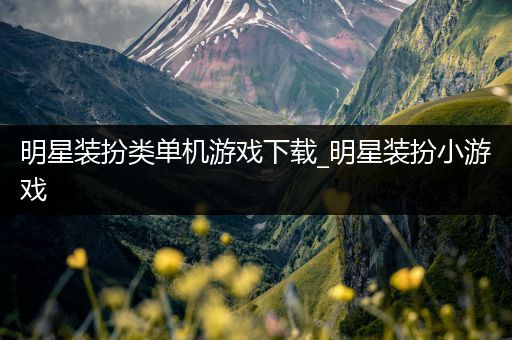 明星装扮类单机游戏下载_明星装扮小游戏