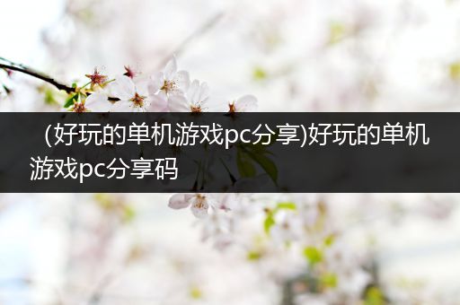 （好玩的单机游戏pc分享)好玩的单机游戏pc分享码