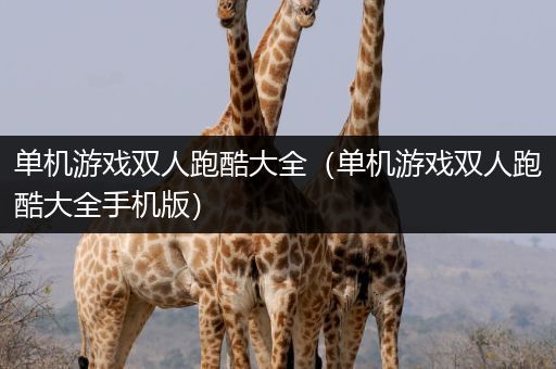 单机游戏双人跑酷大全（单机游戏双人跑酷大全手机版）
