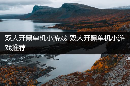 双人开黑单机小游戏_双人开黑单机小游戏推荐