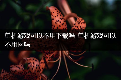 单机游戏可以不用下载吗-单机游戏可以不用网吗