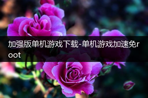加强版单机游戏下载-单机游戏加速免root