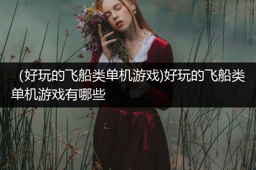 （好玩的飞船类单机游戏)好玩的飞船类单机游戏有哪些