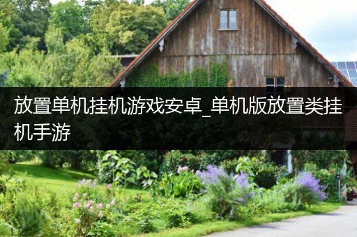 放置单机挂机游戏安卓_单机版放置类挂机手游