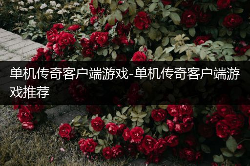 单机传奇客户端游戏-单机传奇客户端游戏推荐