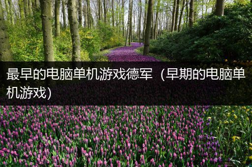 最早的电脑单机游戏德军（早期的电脑单机游戏）