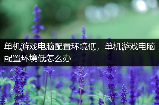 单机游戏电脑配置环境低，单机游戏电脑配置环境低怎么办