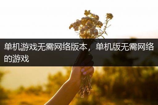 单机游戏无需网络版本，单机版无需网络的游戏