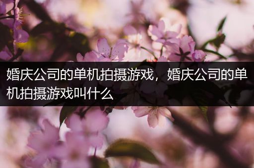 婚庆公司的单机拍摄游戏，婚庆公司的单机拍摄游戏叫什么