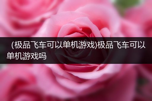 （极品飞车可以单机游戏)极品飞车可以单机游戏吗