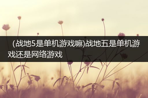 （战地5是单机游戏嘛)战地五是单机游戏还是网络游戏