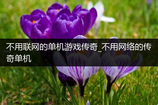 不用联网的单机游戏传奇_不用网络的传奇单机
