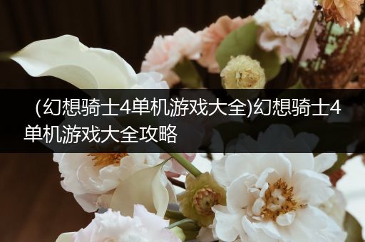 （幻想骑士4单机游戏大全)幻想骑士4单机游戏大全攻略