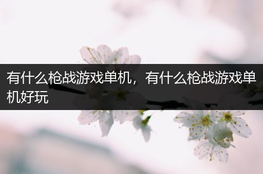 有什么枪战游戏单机，有什么枪战游戏单机好玩