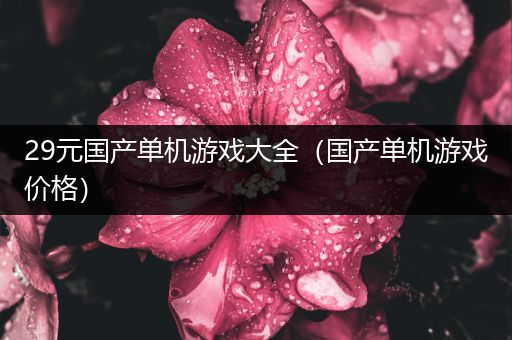 29元国产单机游戏大全（国产单机游戏价格）