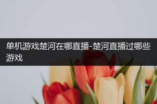 单机游戏楚河在哪直播-楚河直播过哪些游戏