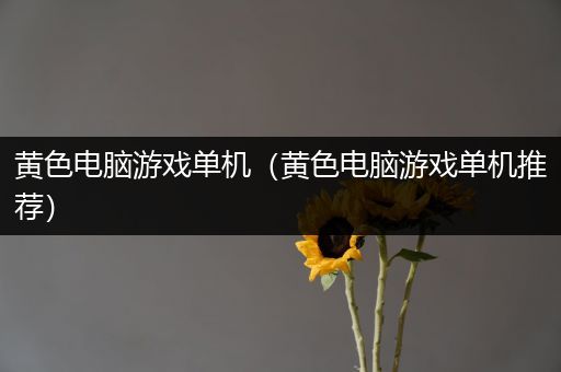 黄色电脑游戏单机（黄色电脑游戏单机推荐）