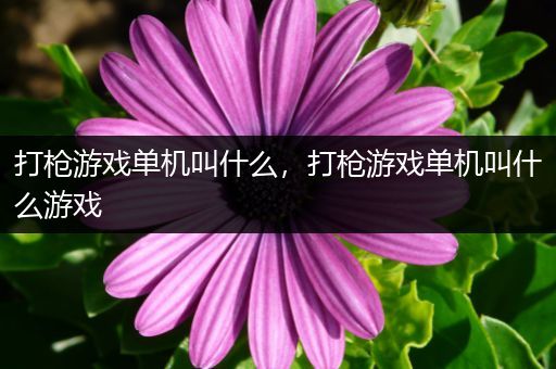 打枪游戏单机叫什么，打枪游戏单机叫什么游戏