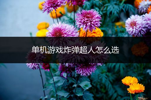 单机游戏炸弹超人怎么选
