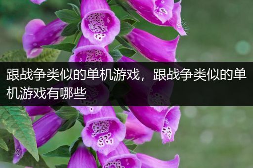 跟战争类似的单机游戏，跟战争类似的单机游戏有哪些
