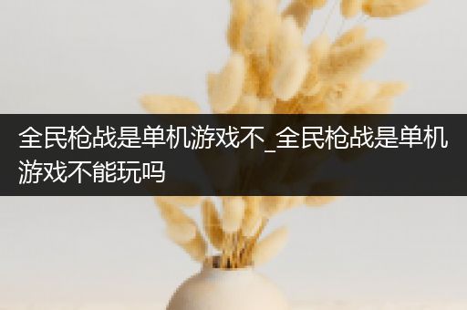 全民枪战是单机游戏不_全民枪战是单机游戏不能玩吗