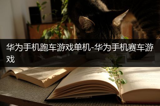 华为手机跑车游戏单机-华为手机赛车游戏