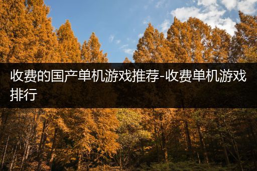 收费的国产单机游戏推荐-收费单机游戏排行