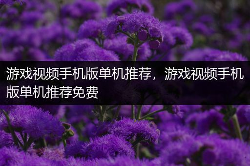 游戏视频手机版单机推荐，游戏视频手机版单机推荐免费