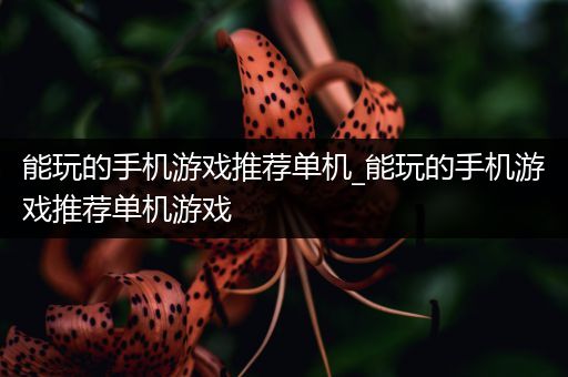 能玩的手机游戏推荐单机_能玩的手机游戏推荐单机游戏