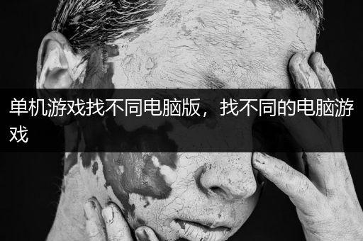 单机游戏找不同电脑版，找不同的电脑游戏