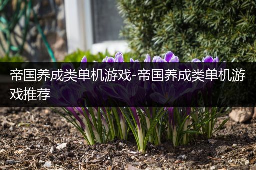 帝国养成类单机游戏-帝国养成类单机游戏推荐