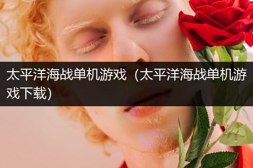太平洋海战单机游戏（太平洋海战单机游戏下载）