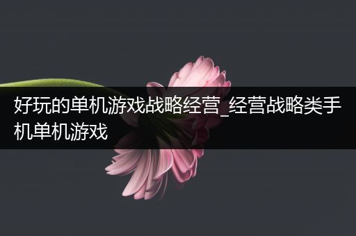 好玩的单机游戏战略经营_经营战略类手机单机游戏
