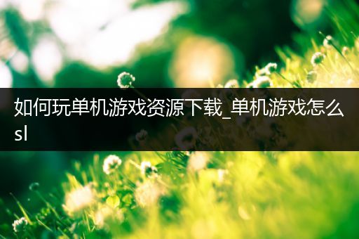 如何玩单机游戏资源下载_单机游戏怎么sl