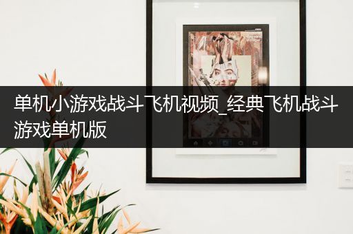 单机小游戏战斗飞机视频_经典飞机战斗游戏单机版