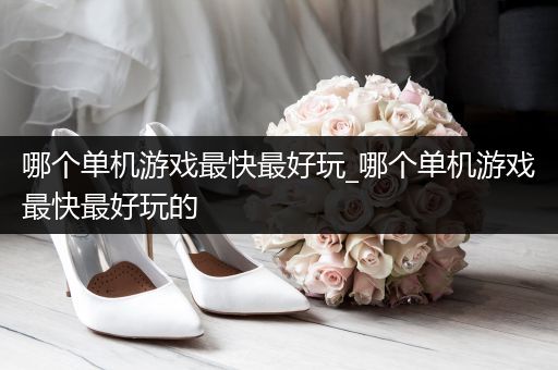 哪个单机游戏最快最好玩_哪个单机游戏最快最好玩的