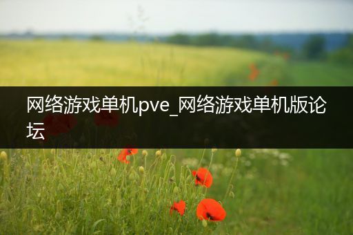 网络游戏单机pve_网络游戏单机版论坛