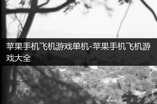 苹果手机飞机游戏单机-苹果手机飞机游戏大全