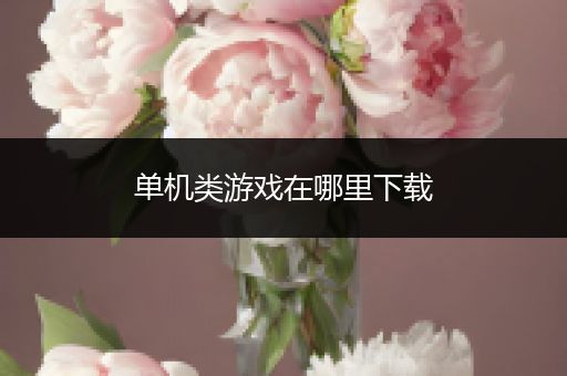 单机类游戏在哪里下载