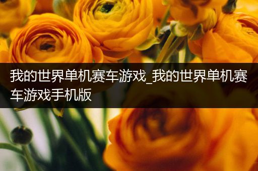 我的世界单机赛车游戏_我的世界单机赛车游戏手机版