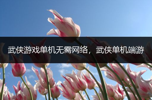 武侠游戏单机无需网络，武侠单机端游