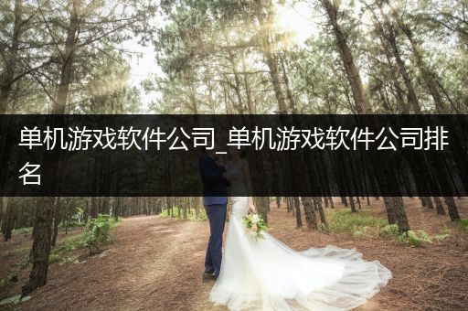 单机游戏软件公司_单机游戏软件公司排名