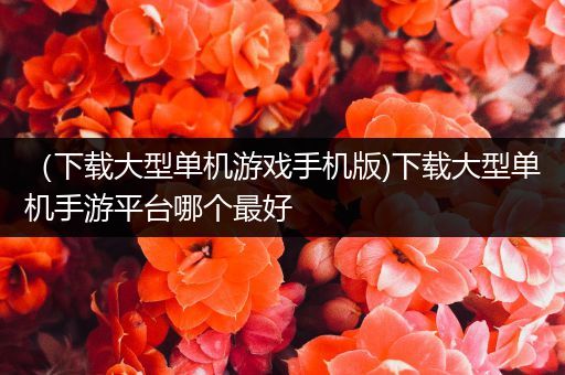 （下载大型单机游戏手机版)下载大型单机手游平台哪个最好