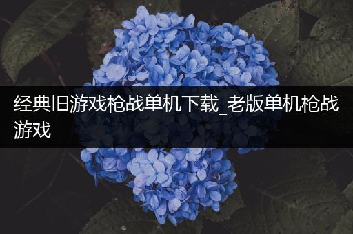经典旧游戏枪战单机下载_老版单机枪战游戏