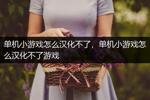 单机小游戏怎么汉化不了，单机小游戏怎么汉化不了游戏