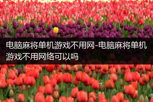 电脑麻将单机游戏不用网-电脑麻将单机游戏不用网络可以吗
