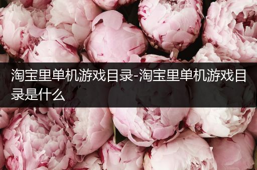 淘宝里单机游戏目录-淘宝里单机游戏目录是什么