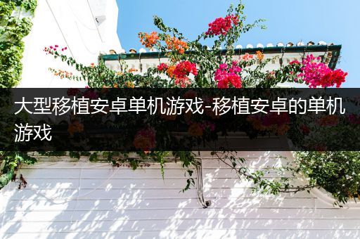 大型移植安卓单机游戏-移植安卓的单机游戏