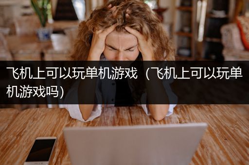飞机上可以玩单机游戏（飞机上可以玩单机游戏吗）