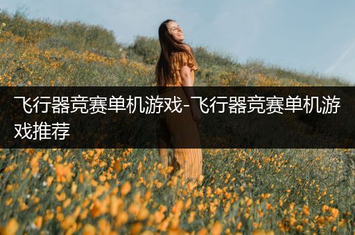 飞行器竞赛单机游戏-飞行器竞赛单机游戏推荐